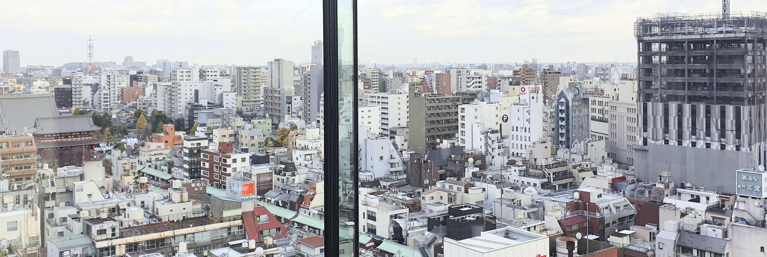 View of Tokyo drinking coffee