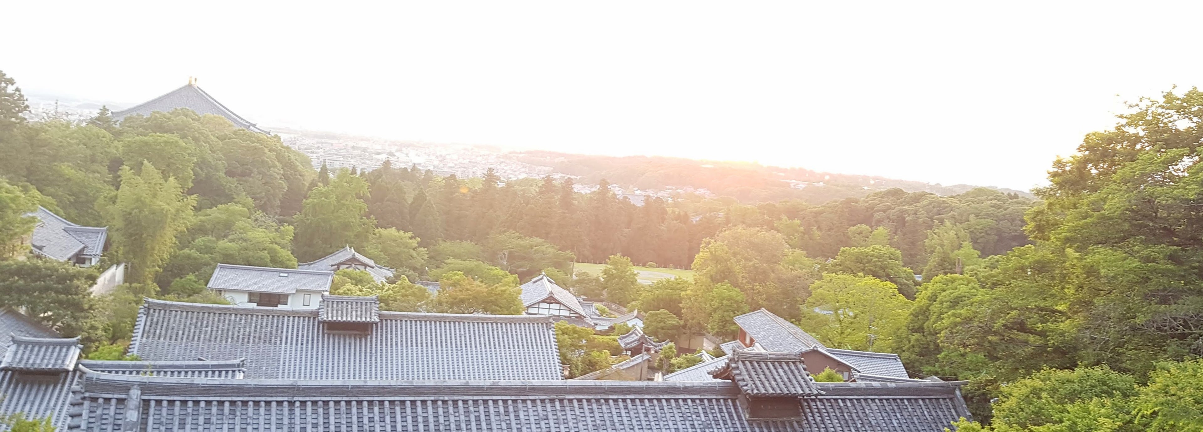 Online store Monsieur Tanuki